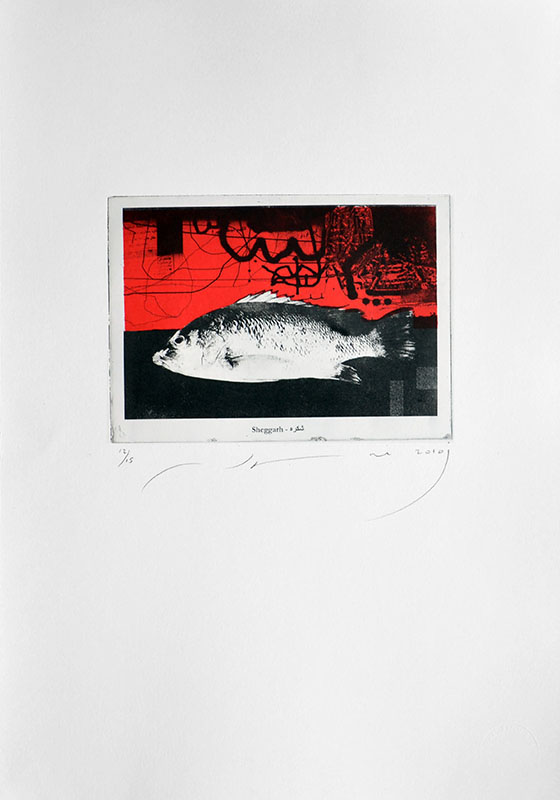 Gulf Fish10, 21.5x15cm on paper size 50x35cm, Print, Edition15, 2010