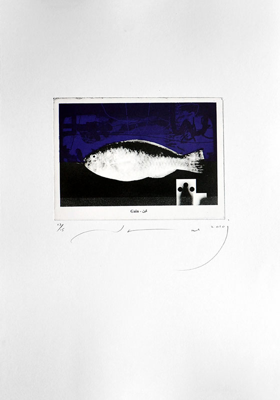 Gulf Fish11, 21.5x15cm on paper size 50x35cm, Print, Edition15, 2010