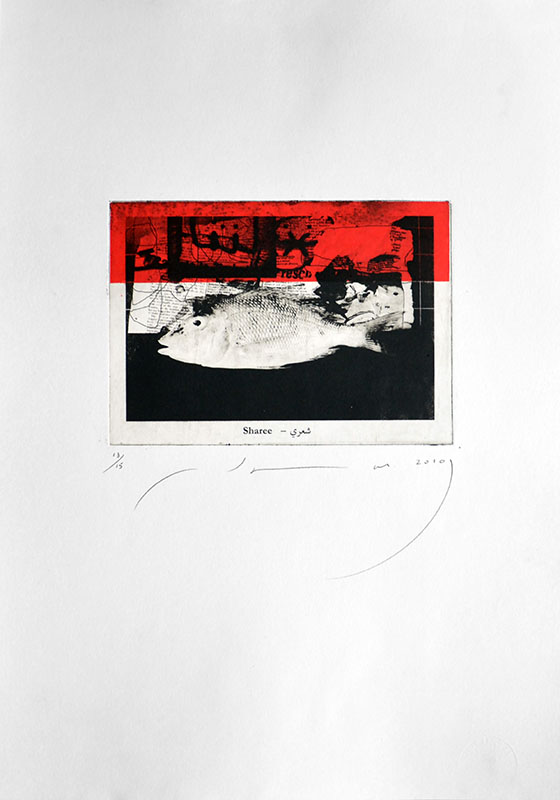 Gulf Fish12, 21.5x15cm on paper size 50x35cm, Print, Edition15, 2010