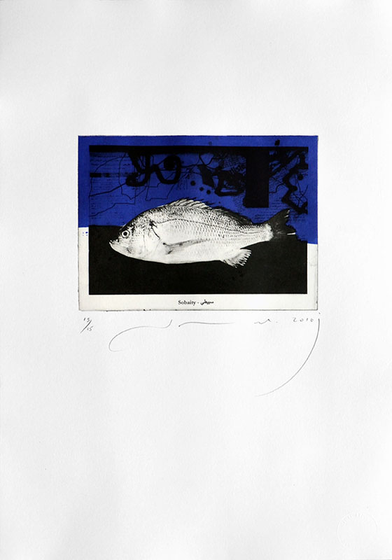 Gulf Fish6, 21.5x15cm on paper size 50x35cm, Print, Edition15, 2010