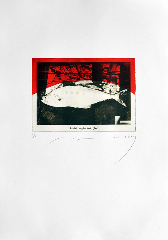 Gulf Fish7, 21.5x15cm on paper size 50x35cm, Print, Edition15, 2010