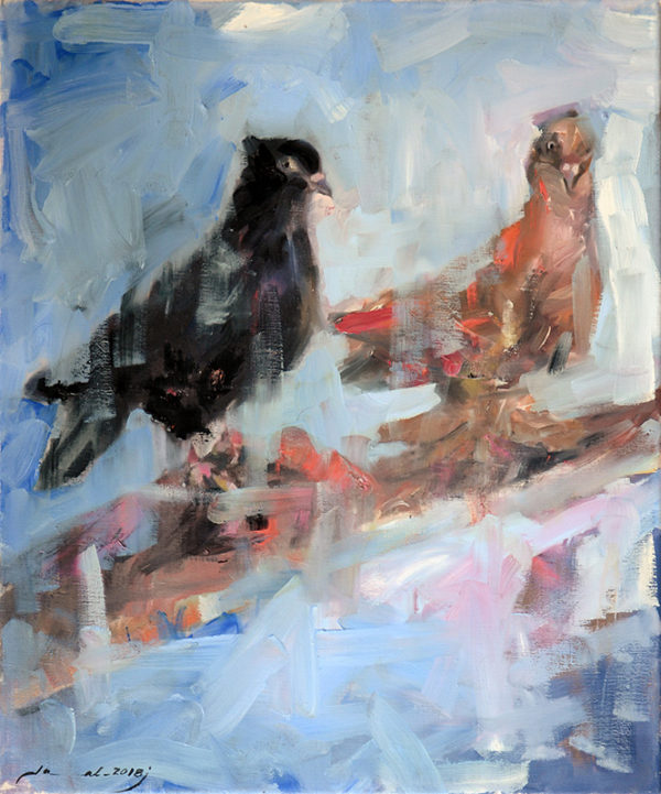 art-jamal 60x50 cm, Oil on Canvas, Pigeon 5, 2018