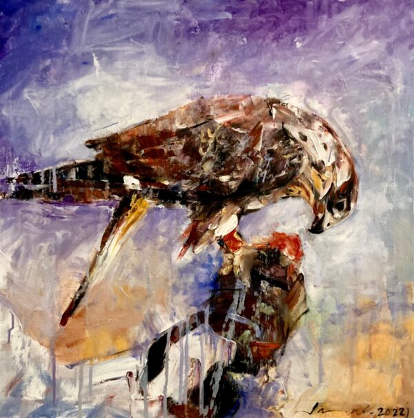 FALCON