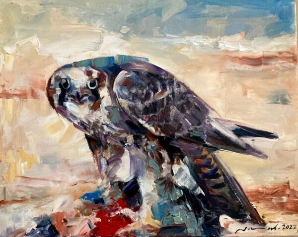 FALCON