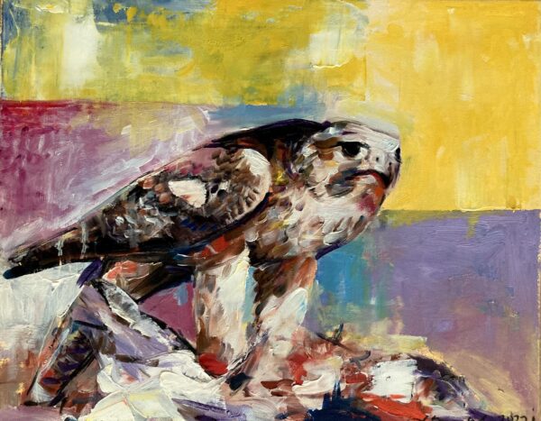 FALCON